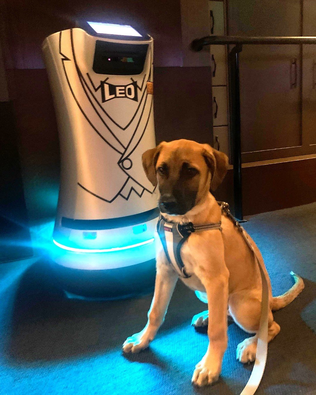 Chicago hotels adopt Relay delivery robots for enhanced guest service